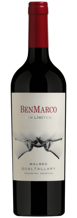 Sin Limites Malbec Gualtallary 2021