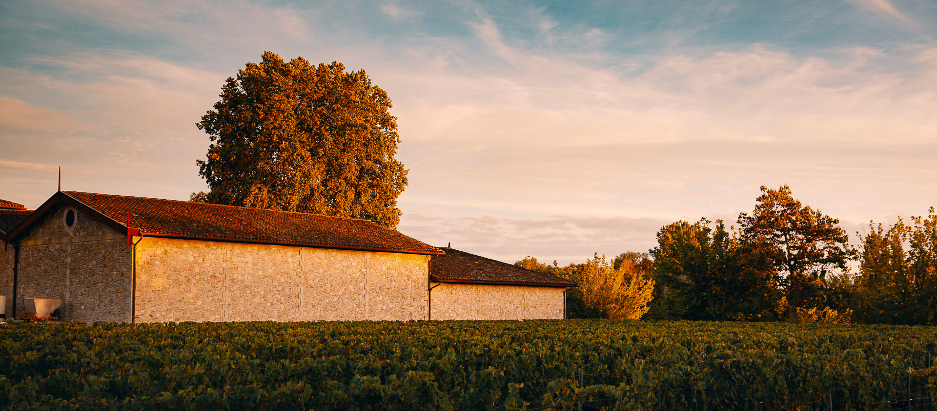 Vignobles Bardet