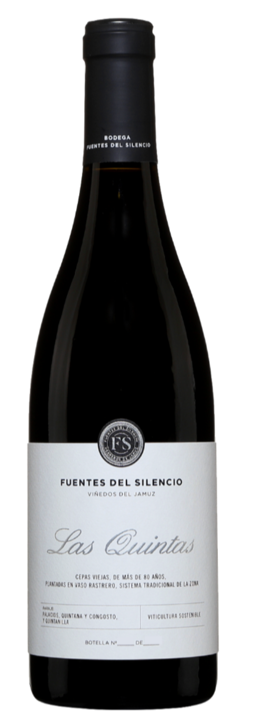 Fuentes del Silencio Las Quintas